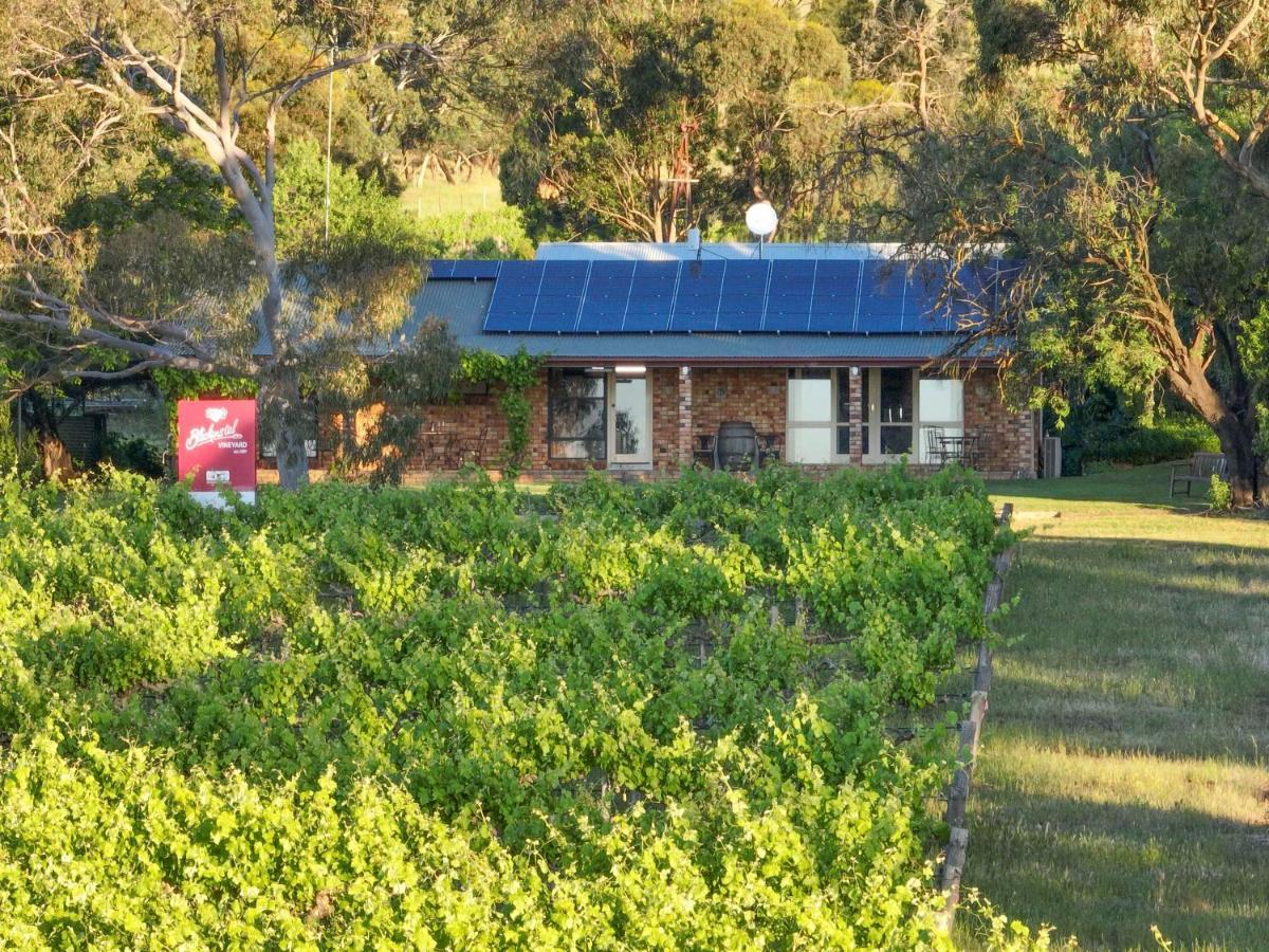 Blickinstal Holiday Retreat Bethany Εξωτερικό φωτογραφία